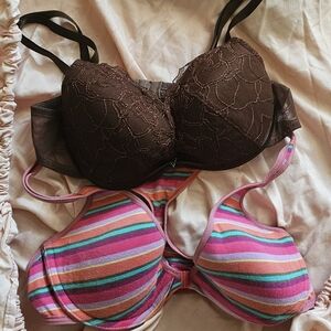 Free Elegant Brown Lace Bra and Vibrant Striped Bra Set